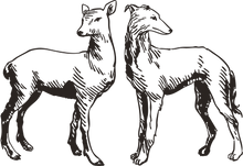 Black and white illustration of two deer standing side by side on a white background